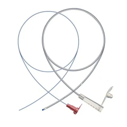 ¿Qué tipo de dieta se utiliza con una sonda de alimentación?